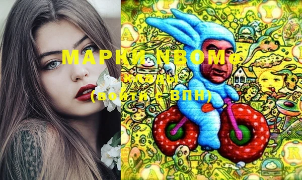 индика Армянск