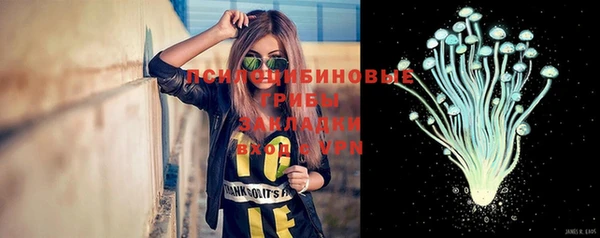 индика Армянск