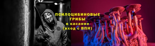 гидропоника Аркадак