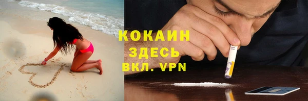 ешки Арсеньев
