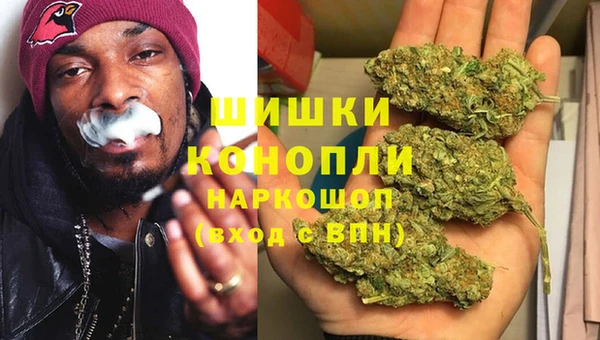 ешки Арсеньев