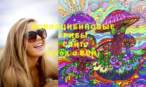 индика Армянск