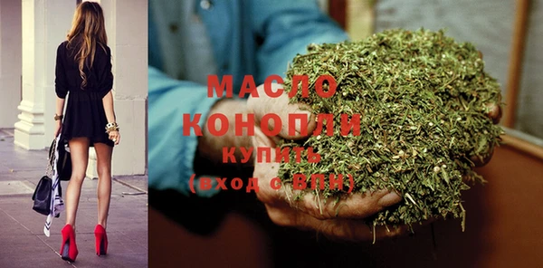 индика Армянск