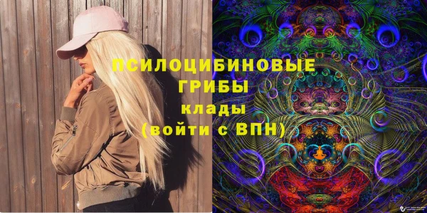 ешки Арсеньев