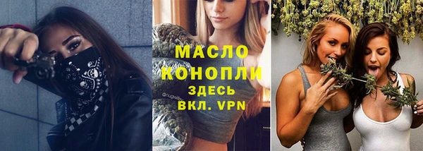 индика Армянск