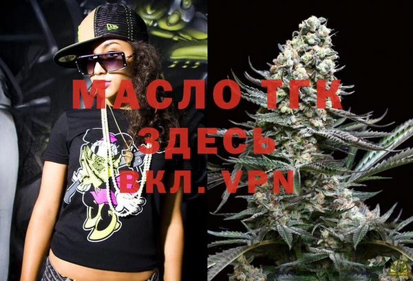 индика Армянск