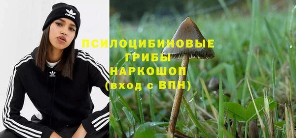 ешки Арсеньев