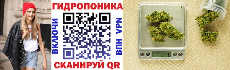 где купить наркоту  Моздок  Канабис Amnesia 